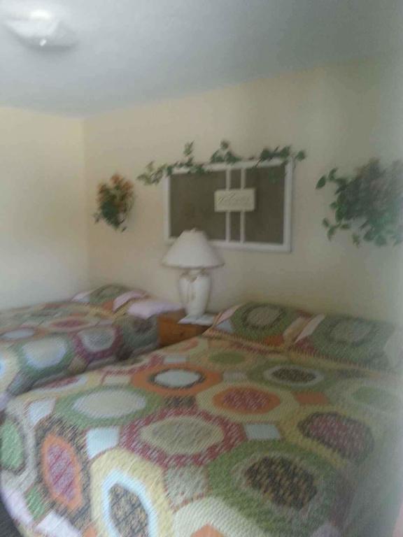 Taneycomo Lakefront Resort Bull Creek Ruang foto